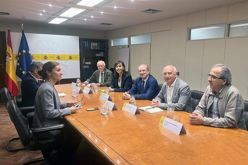 La ministra de Sanidad, Mónica García, durante su reunión con representantes de la Federación de Asociaciones Científico-Médicas Españolas. POOL MONCLOA