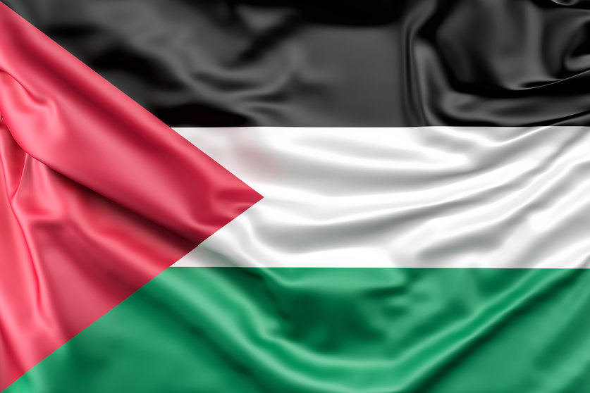 <a href="https://www.freepik.es/foto-gratis/bandera-palestina_1179435.htm#fromView=search&page=1&position=0&uuid=4a471b33-db33-406d-9336-a4ec1fae90cb">Imagen de www.slon.pics en Freepik</a>