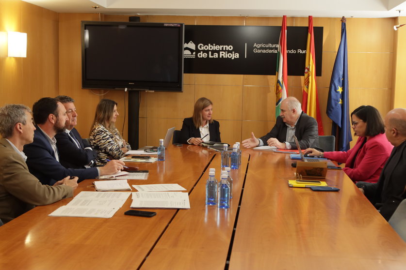 El consejero Aierdi junto a la consejera Manzanos, con sus respectivos equipos, en la reunión mantenida en la sede del Gobierno de La Rioja. GN