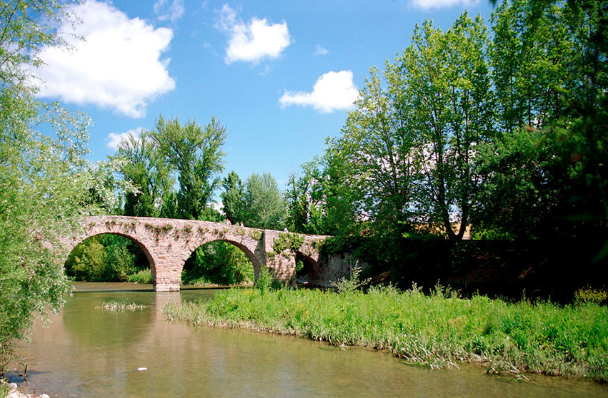 PUENTE VIEJO DE SAN PEDRO. Imagen de MONTXO A.G. para AP