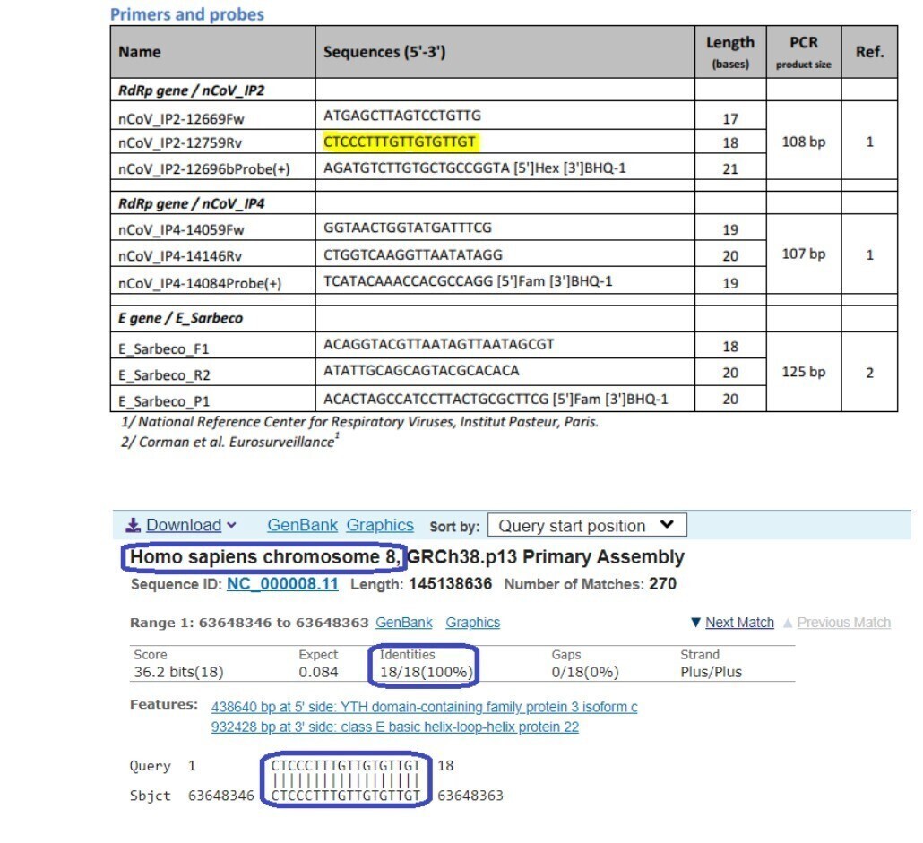 Informaci N Sobre La Pcr